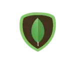 MongoDB
