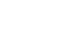 Trans Global Solution Logo
